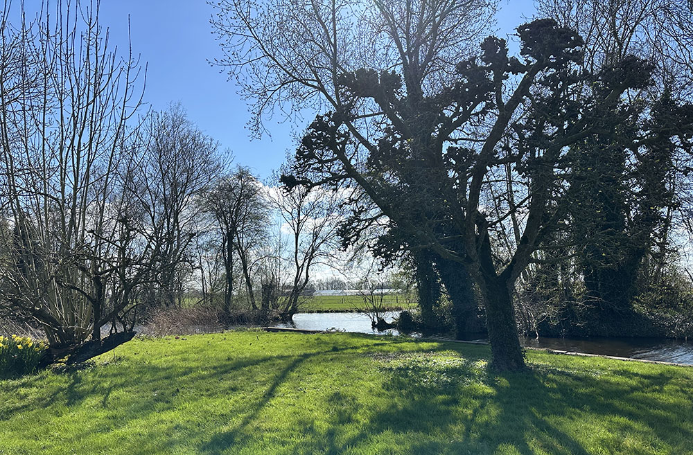 uitzicht vanuit de tuin