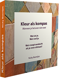 Kleur als Kompas e-book